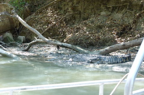 Kakadu Full-Day Tour From Darwin With Lunch - Tourism Gold Coast 2