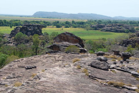Kakadu Full-Day Tour From Darwin With Lunch - Tourism Gold Coast 3
