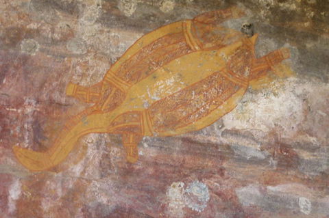 Kakadu Full-Day Tour From Darwin With Lunch - Tourism Gold Coast 4