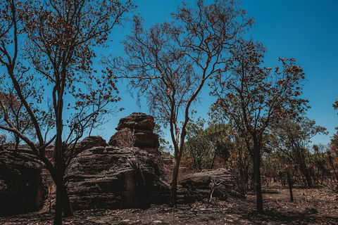 Kakadu Full-Day Tour From Darwin With Lunch - Tourism Gold Coast 6