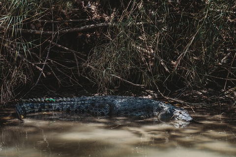 Kakadu Full-Day Tour From Darwin With Lunch - Tourism Gold Coast 13