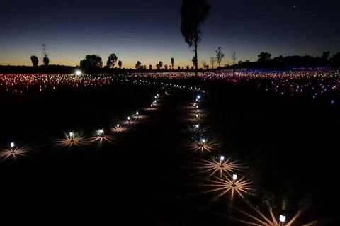 Uluru Field Of Light Sunrise Tour - Tourism Gold Coast 2