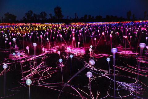 Uluru Field Of Light Sunrise Tour - Tourism Gold Coast 1