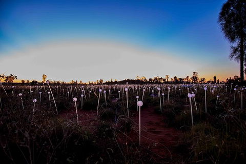 Uluru Field Of Light Sunrise Tour - Tourism Gold Coast 8