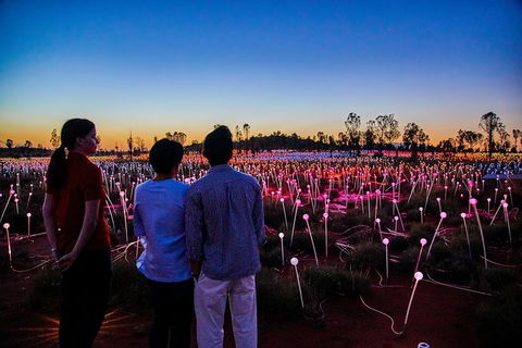 Uluru Field Of Light Sunrise Tour - Tourism Gold Coast 5