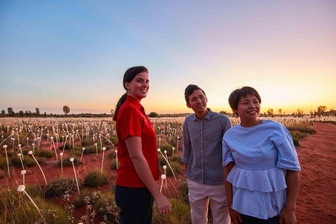 Uluru Field Of Light Sunrise Tour - Tourism Gold Coast 11