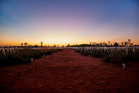 Uluru Field Of Light Sunrise Tour - Tourism Gold Coast 14