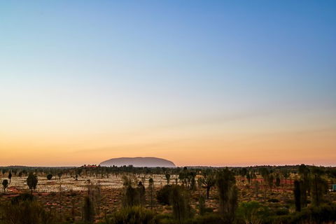 Uluru Field Of Light Sunrise Tour - Tourism Gold Coast 12