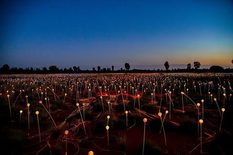 Uluru Field Of Light Sunrise Tour - Tourism Gold Coast 7