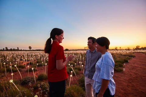 Uluru Field Of Light Sunrise Tour - Tourism Gold Coast 9