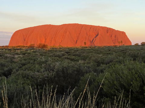 Uluru (Ayers Rock) Sunset With Outback Barbecue Dinner And Star Tour - Tourism Gold Coast 5