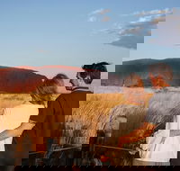 Uluru Ayers Rock Sunset with Outback Barbecue Dinner and Star Tour - Tourism Gold Coast