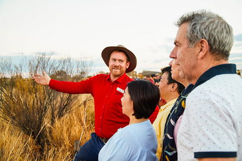 Uluru (Ayers Rock) Sunset With Outback Barbecue Dinner And Star Tour - Tourism Gold Coast 22