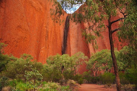 Uluru Sunrise And Guided Base Walk - Tourism Gold Coast 14