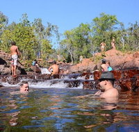 Litchfield and Jumping Crocodiles Full Day Trip from Darwin - Tourism Gold Coast