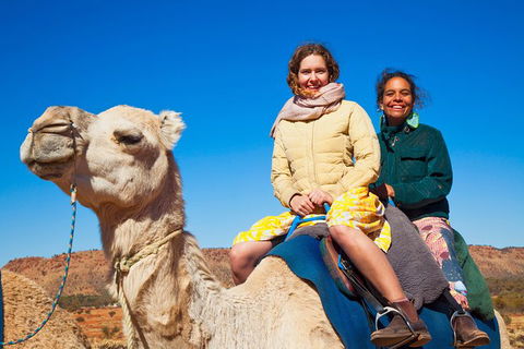 Alice Springs Camel Tour - Tourism Gold Coast 8