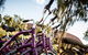 Outback Cycling Uluru Bike Ride Adult - thumb 5