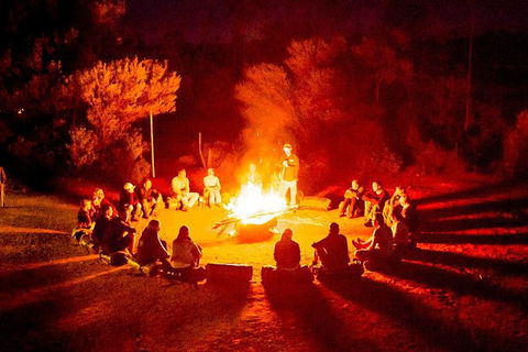 4-Day Red Centre Camping Safari From Alice Springs Or Ayers Rock Including Kings Canyon - Tourism Gold Coast 0