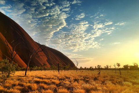 Highlights Of Uluru Including Sunrise And Breakfast - Tourism Gold Coast 5