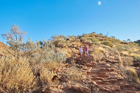Kings Canyon Guided Rim Walk - Tourism Gold Coast 5