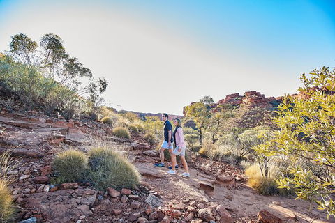 Kings Canyon Guided Rim Walk - Tourism Gold Coast 2