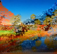 Palm Valley 4WD Day Tour - Tourism Gold Coast