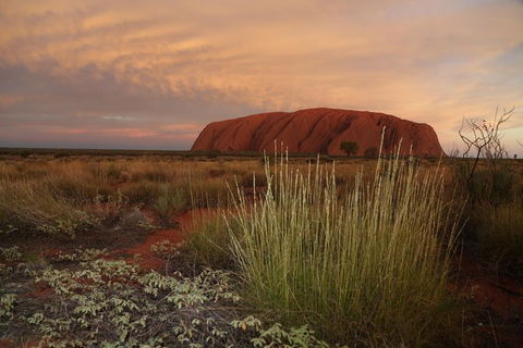 Coach Transfer From Kings Canyon Resort To Ayers Rock Resort - Tourism Gold Coast 7
