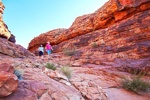 Coach Transfer From Kings Canyon Resort To Ayers Rock Resort - Tourism Gold Coast 6