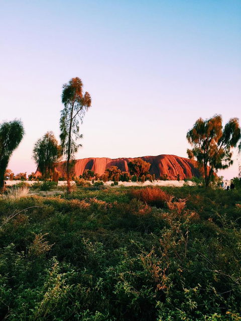 Uluru & Kata Tjuta Sights & Sounds - Tourism Gold Coast 3
