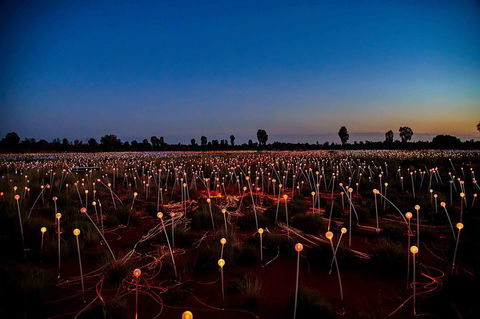 Uluru & Kata Tjuta Sights & Sounds - Tourism Gold Coast 8