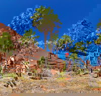 Palm Valley 4WD Tour from Alice Springs - Tourism Gold Coast