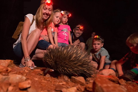Alice Springs Desert Park Nocturnal Tour - Tourism Gold Coast 5