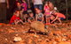 Alice Springs Desert Park Nocturnal Tour - thumb 7
