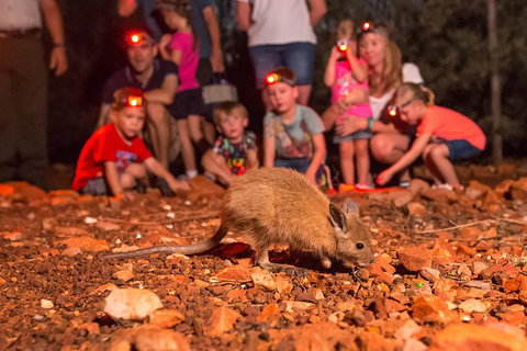 Alice Springs Desert Park Nocturnal Tour - Tourism Gold Coast 7