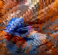 3-Day Red Centre Camping Safari from Alice Springs or Ayers Rock Including Kings Canyon - Tourism Gold Coast