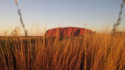 4-Day Camping Trip From Ayers Rock Including Uluru, Kata Tjuta And Kings Canyon - Tourism Gold Coast 2