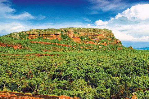 Kakadu, Nourlangie And Yellow Waters Tour From Darwin - Tourism Gold Coast 1