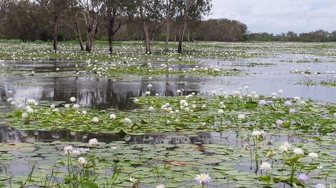 Kakadu, Nourlangie And Yellow Waters Tour From Darwin - Tourism Gold Coast 12