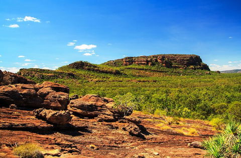 Kakadu, Nourlangie And Yellow Waters Tour From Darwin - Tourism Gold Coast 34
