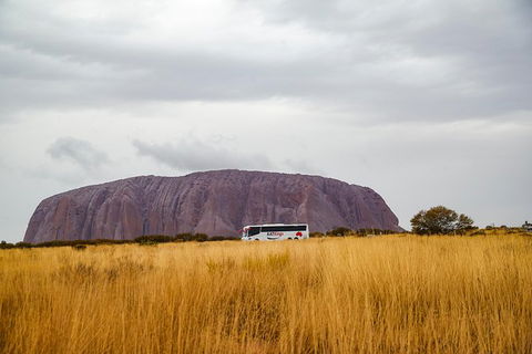 Coach Transfer From Ayers Rock To Kings Canyon - Tourism Gold Coast 4