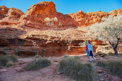 Coach Transfer From Ayers Rock To Kings Canyon - Tourism Gold Coast 7