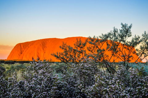 Uluru Sunrise And Kata Tjuta Half Day Trip - Tourism Gold Coast 2