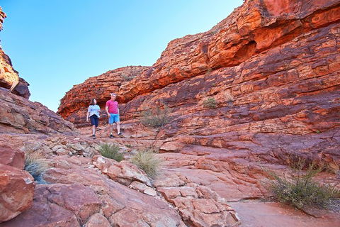Coach Transfer From Kings Canyon To Alice Springs - Tourism Gold Coast 4