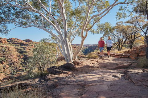 Coach Transfer From Kings Canyon To Alice Springs - Tourism Gold Coast 8