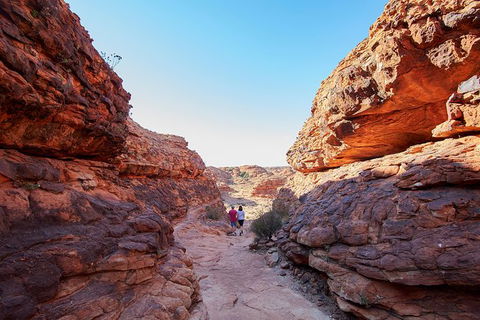 Coach Transfer From Kings Canyon To Alice Springs - Tourism Gold Coast 7