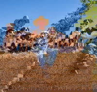 Skip-the-Line Katherine Outback Experience Show Ticket - Tourism Gold Coast