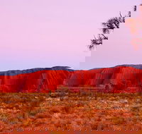 Best of Ayers Rock Sunset Uluru and Sunrise Kata Tjuta Small Group Tours - Tourism Gold Coast