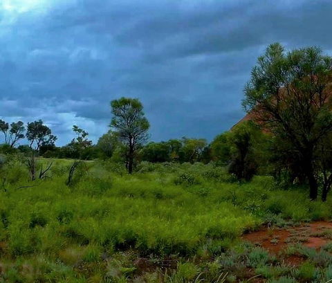 3-Day Ayers Rock To Alice Springs Camping Tour Including Kings Canyon, Kata Tjuta And Uluru - Tourism Gold Coast 11
