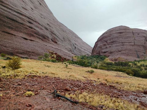 3-Day Ayers Rock To Alice Springs Camping Tour Including Kings Canyon, Kata Tjuta And Uluru - Tourism Gold Coast 4