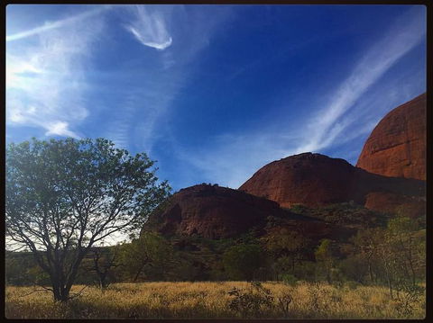 3-Day Ayers Rock To Alice Springs Camping Tour Including Kings Canyon, Kata Tjuta And Uluru - Tourism Gold Coast 14